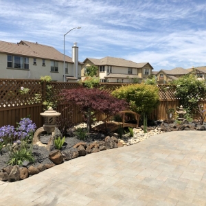 Photo of Bay Area Sustainable Landscaping