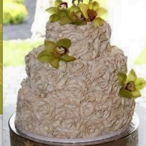 Photo of Calabash Events
