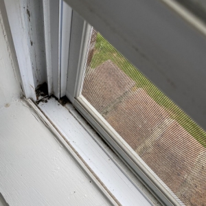 Photo of Platinum Window Cleaning