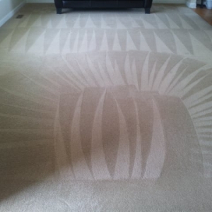 Photo of Kornelia Carpet & Air Duct Cleaners