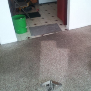 Photo of Kornelia Carpet & Air Duct Cleaners