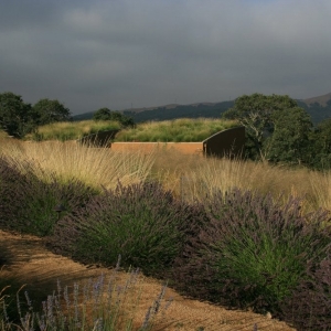 Photo of Mozaic Landscapes