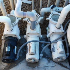 Queen Creek Eternity Pool Service