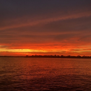 Photo of Harbor Lights Cruises