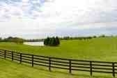 Photo of Sholler's Fence