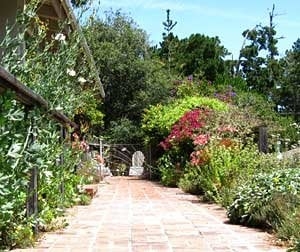 Photo of All Things Green Landscape Services
