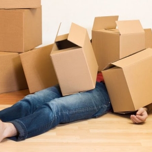Photo of Valley Wide Movers