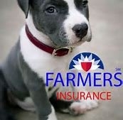 Photo of Farmers Insurance - Mickey Berry