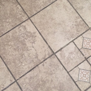 Phoenix Fresh Tech Floor Care