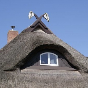 Photo of Queen's Shingle Roofing & Vinyl Siding