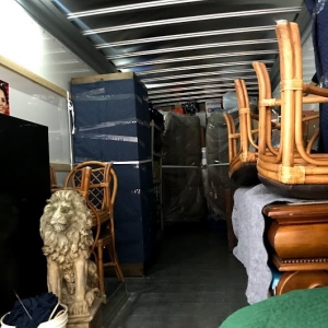 Photo of Delivery In Motion