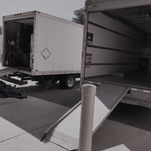 Photo of Delivery In Motion
