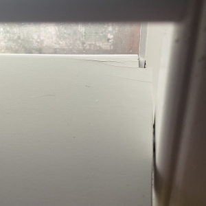 Photo of Diamond Shutters