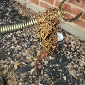 Photo of Oasis Plumbing of Texas