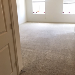 Sunnyvale Sunnyvale Carpet Care