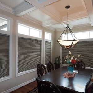 Photo of Window-ology