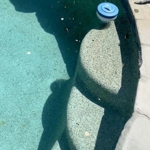 Photo of Atlantis Pools
