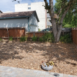 Photo of Smart Yards - A Sustainable Landscaping Cooperative