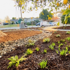 Photo of Smart Yards - A Sustainable Landscaping Cooperative