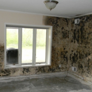 Photo of Fix My Home