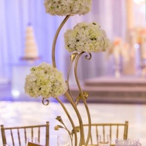 Photo of La Muse Events