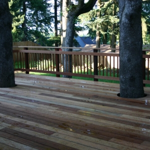 Photo of MBA Deck and Fence