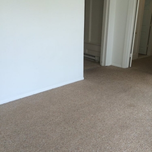 Photo of Need a Miracle Carpet Cleaning