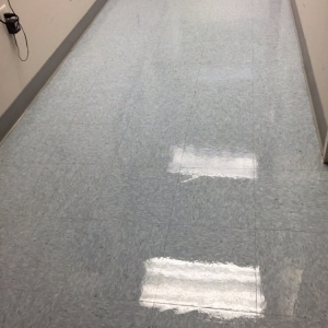 Photo of Need a Miracle Carpet Cleaning
