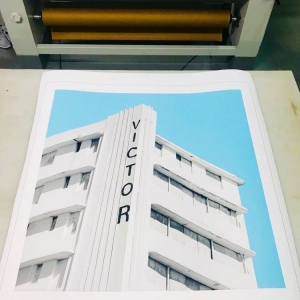 Photo of The Color House