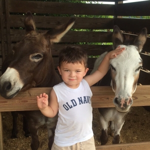 Photo of Party Animals Pony Rides