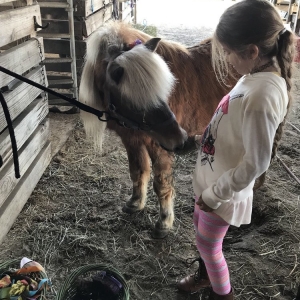 Photo of Party Animals Pony Rides