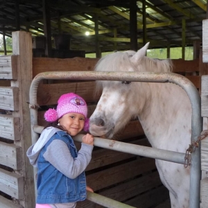 Photo of Party Animals Pony Rides