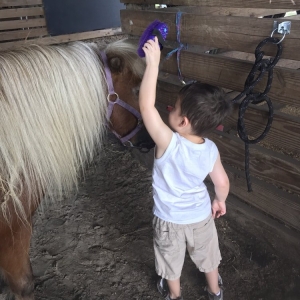 Photo of Party Animals Pony Rides