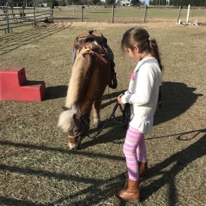 Photo of Party Animals Pony Rides