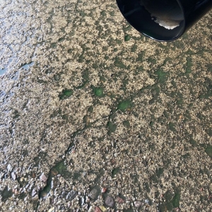 Photo of Santee Car Wash