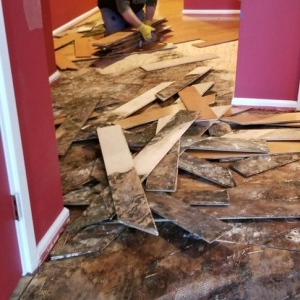 Photo of Parquet Floor Service