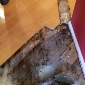 Photo of Parquet Floor Service