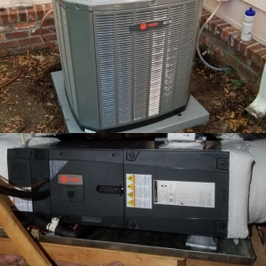 Photo of Max Mechanical