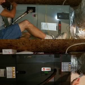 Photo of Max Mechanical
