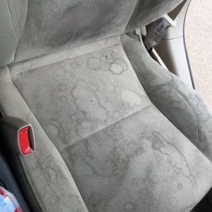 Photo of Super Clean Carpets
