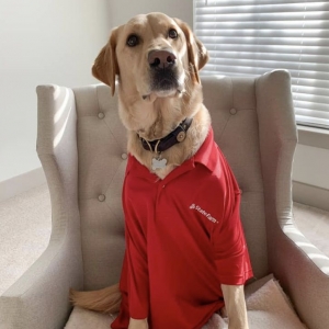 Photo of Dylan Carter - State Farm Insurance Agent