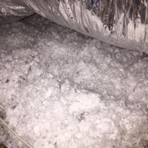 Photo of We insulate it