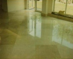 Photo of USA Floor Care