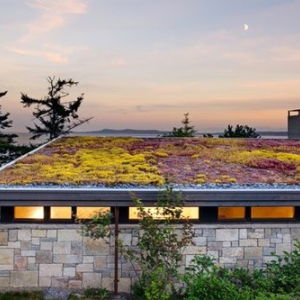Photo of Witch Hazel Designs and Education