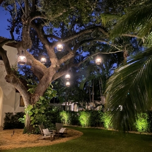 Photo of Miami Landscape Lighting