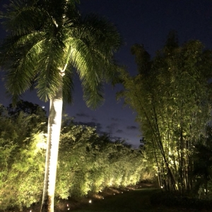 Photo of Miami Landscape Lighting