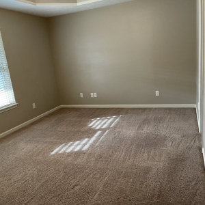 Photo of Professional Carpet Systems