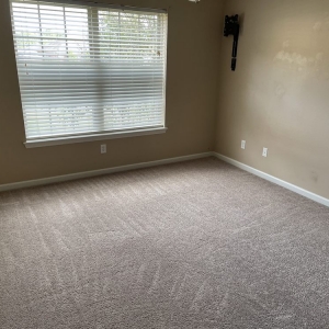 Photo of Professional Carpet Systems