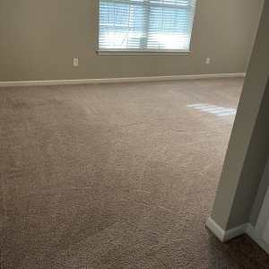 Photo of Professional Carpet Systems