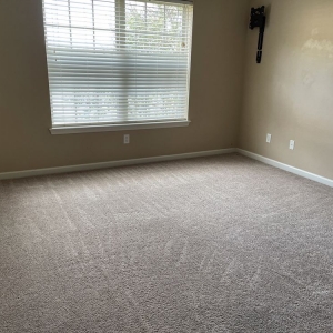 Photo of Professional Carpet Systems